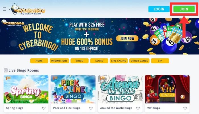 Cyber Bingo Casino(サイバービンゴ)