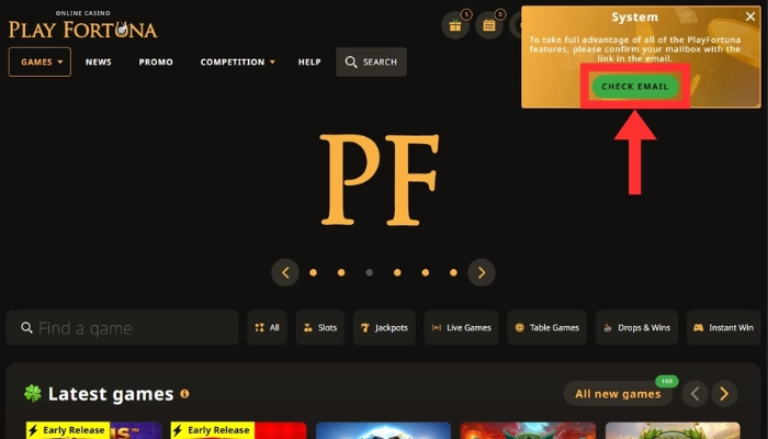 PlayFortuna(プレイフォーチュナ)