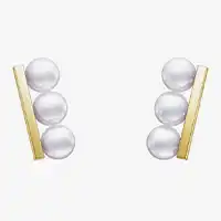 バランスネオイヤリング