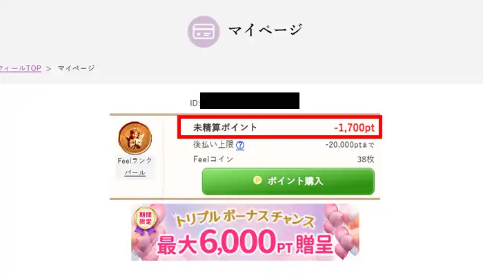 フィール-1700ポイント