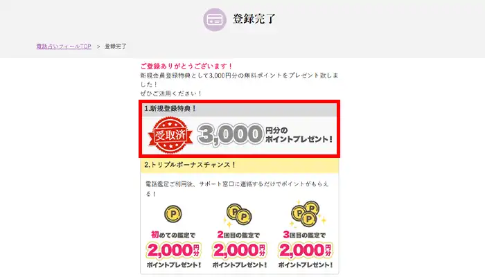 フィール-3000ポイント