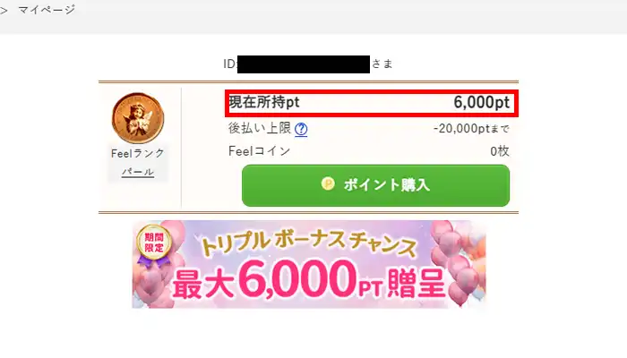 フィール-6000ポイント