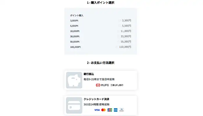 マジョルカ-支払い方法