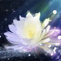 涼花(スズカ)先生