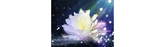 みん電-スズカ先生