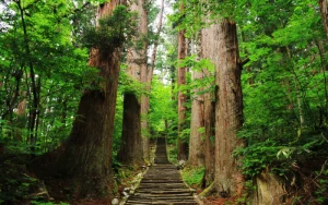 山形｜出羽三山