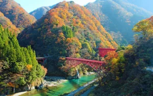 富山｜黒部
