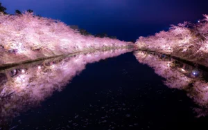青森｜弘前