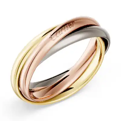 トリニティ リング、スモールモデル