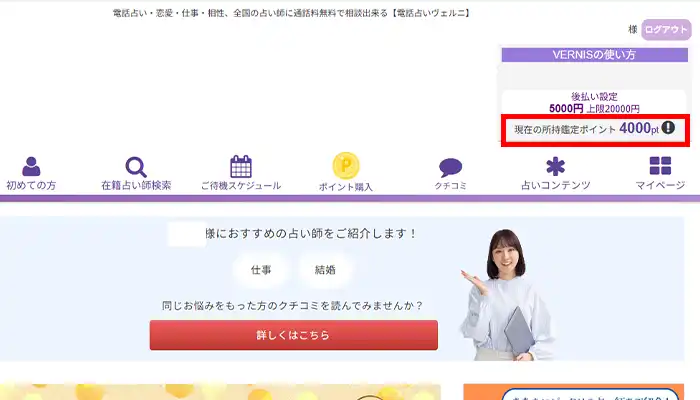 ヴェルニ-ポイント4000円